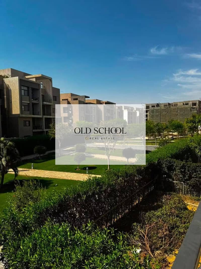 4 167497. jpg