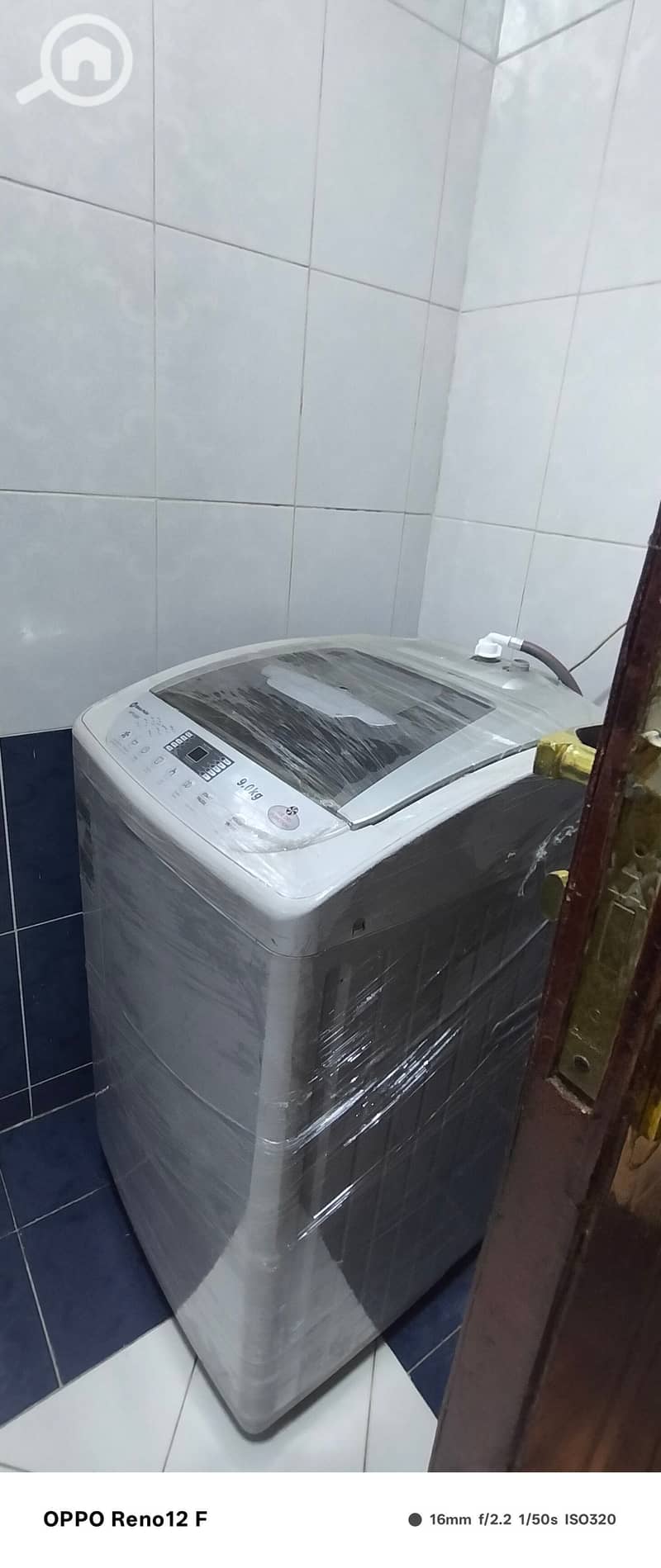 7 1000331452. jpg