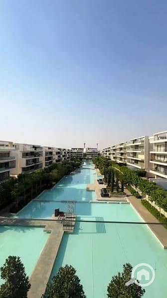4 images (5). jpg