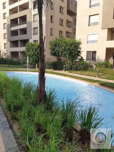 3 Bedroom Flat for Rent in New Cairo, Cairo - WhatsApp Image 2026-10-20 at 9.23. 08 PM (1). jpeg