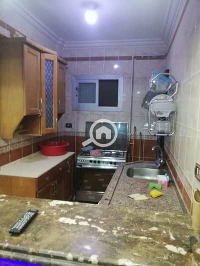 2 Bedroom Apartment for Rent in New Cairo, Cairo - 1000166656. jpg 2 Bedroom Apartment for Rent in New Cairo, Cairo - 1000166656. jpg