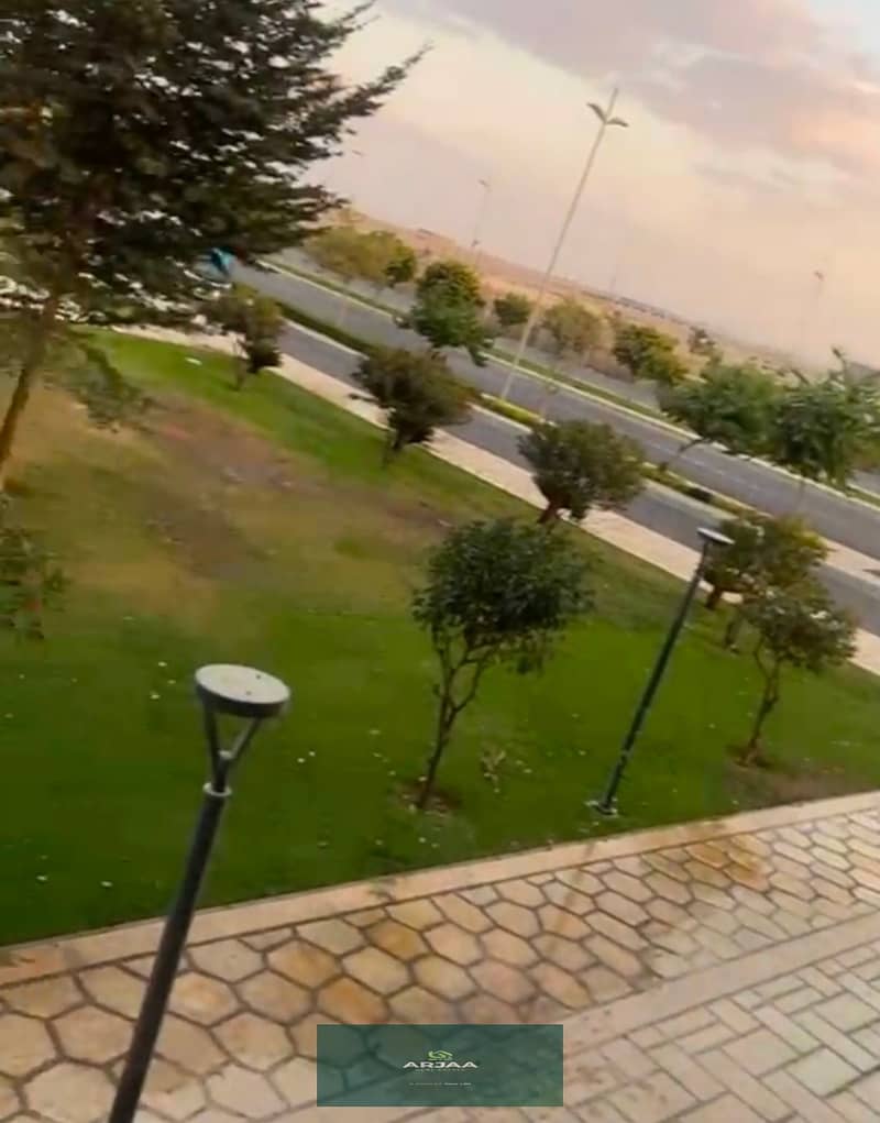 6 1001303083. jpg