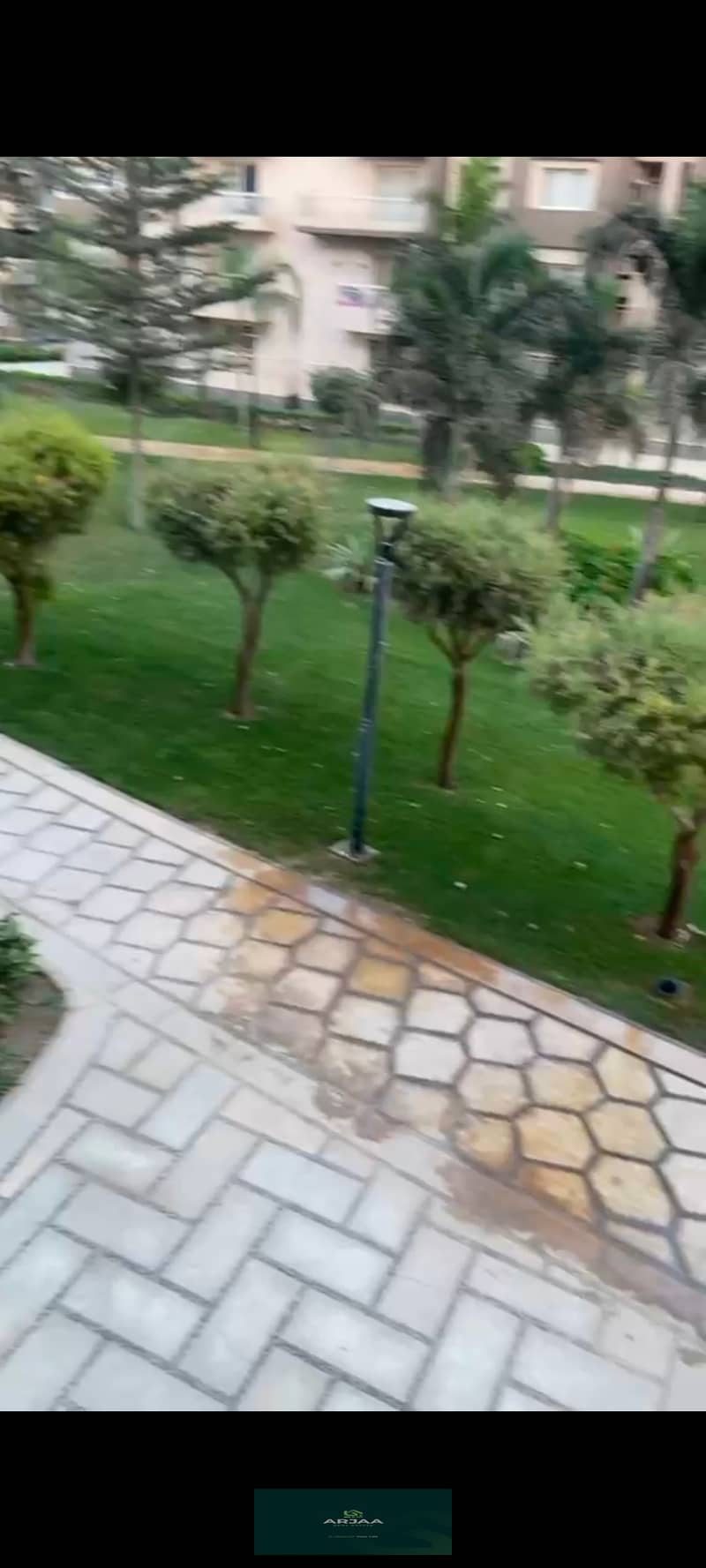 7 1001303076. jpg