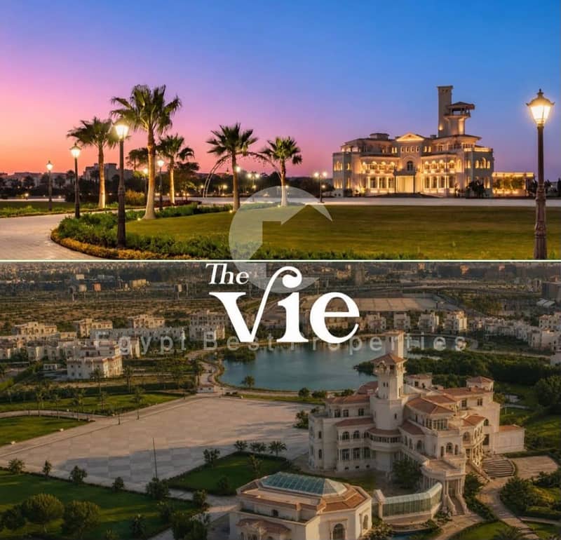 8 THE VIEE. jpeg