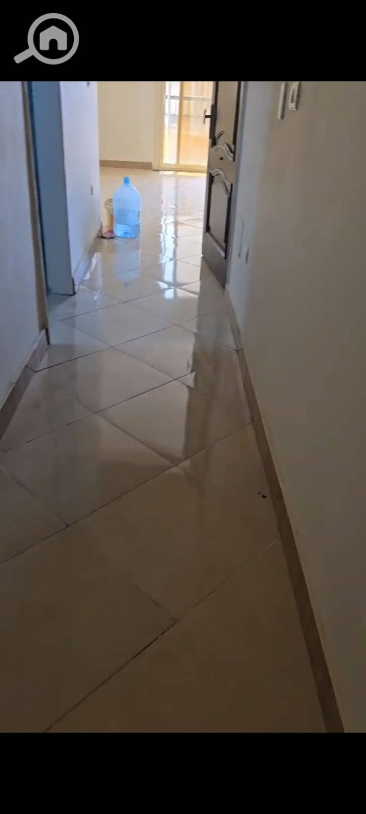 9 1000974809. jpg