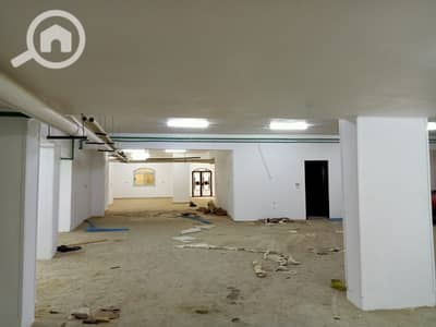 1 Bedroom Flat for Rent in Shorouk City, Cairo - 1000218051. jpg 1 Bedroom Flat for Rent in Shorouk City, Cairo - 1000218051. jpg