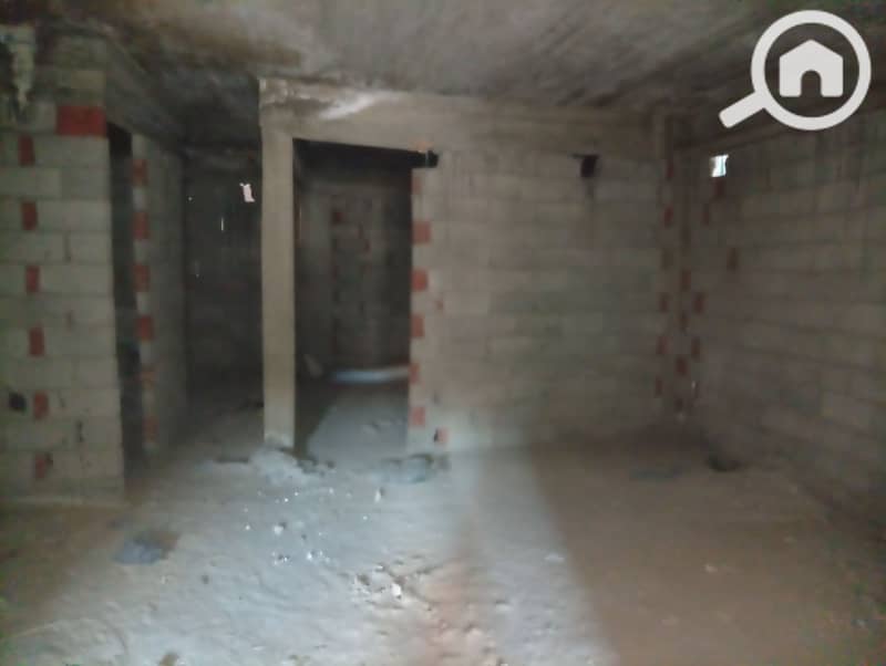8 31355. jpg