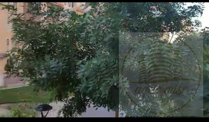 13 WhatsApp Image 2026-10-21 at 3.24. 51 PM. jpeg
