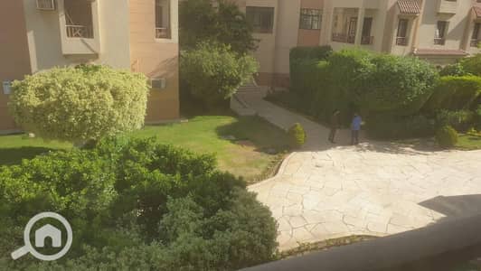 2 Bedroom Flat for Rent in New Cairo, Cairo - u6951. jpg 2 Bedroom Flat for Rent in New Cairo, Cairo - u6951. jpg