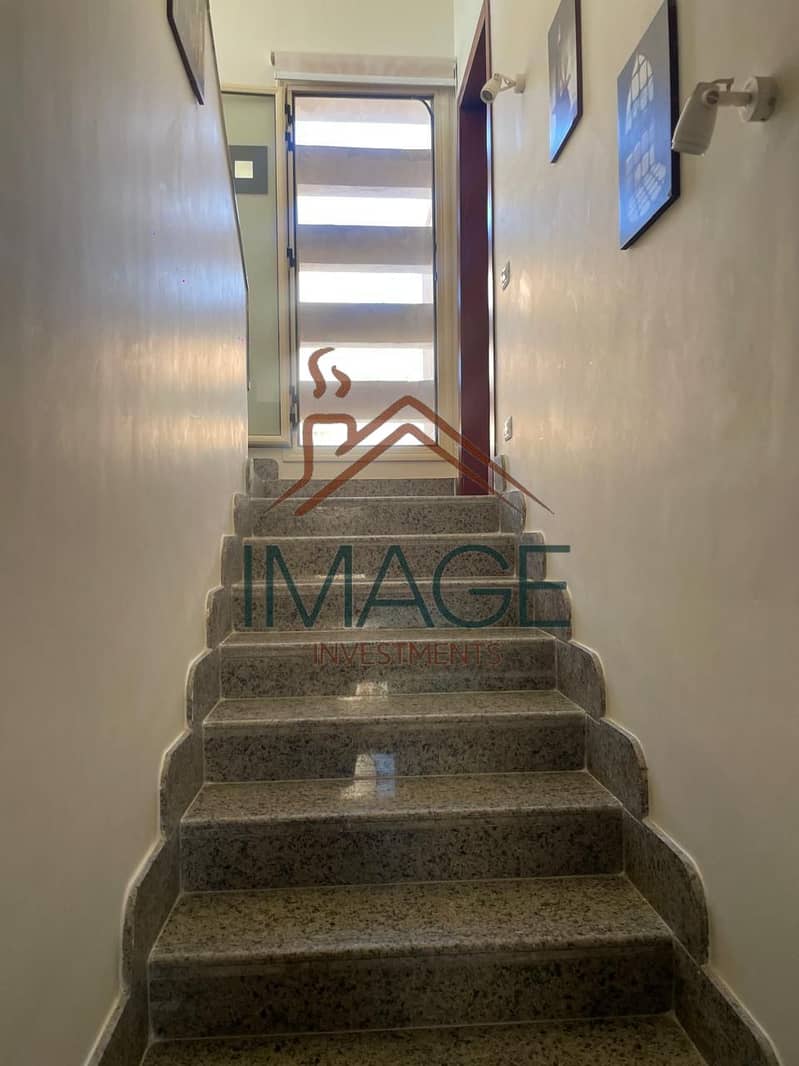 5 154473. jpg