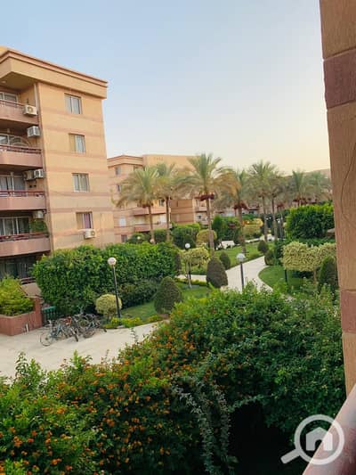 شقة 3 غرف نوم للايجار في القاهرة الجديدة، القاهرة - WhatsApp Image 2026-10-21 at 11.36. 58 PM. jpeg شقة 3 غرف نوم للايجار في القاهرة الجديدة، القاهرة - WhatsApp Image 2026-10-21 at 11.36. 58 PM. jpeg
