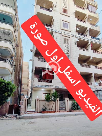 شقة 2 غرفة نوم للبيع في النخيل، الإسكندرية - 1000537806. jpg شقة 2 غرفة نوم للبيع في النخيل، الإسكندرية - 1000537806. jpg