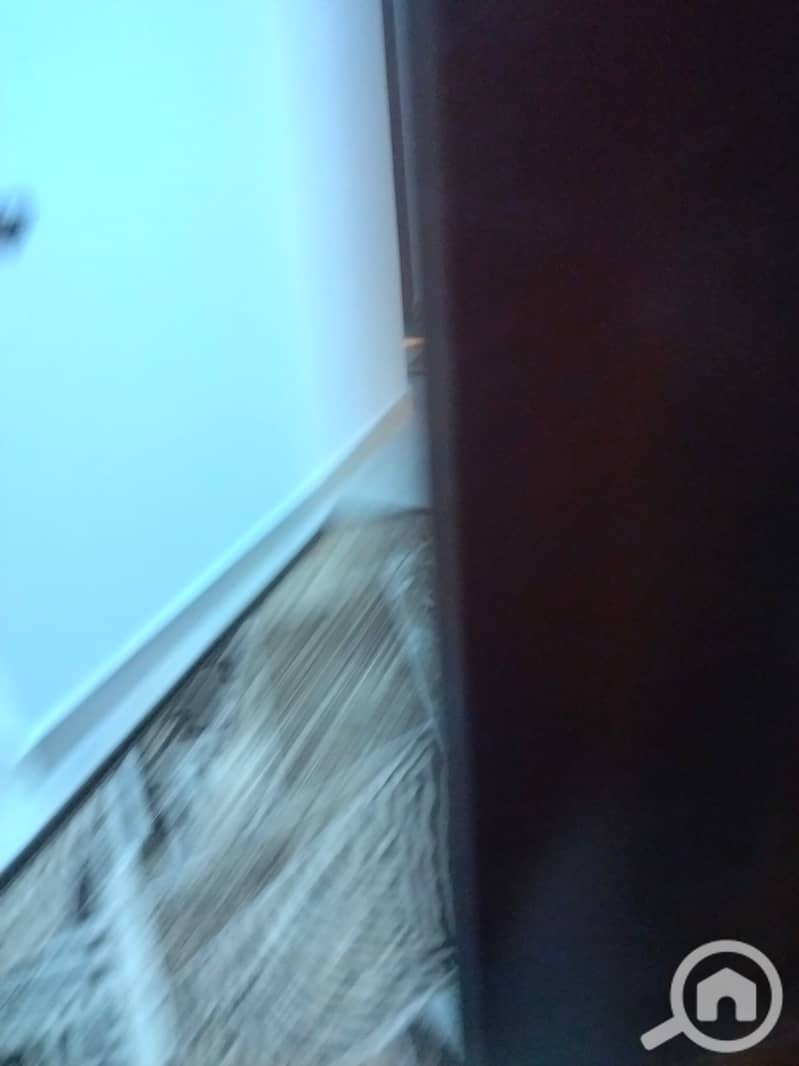 7 169666. jpg