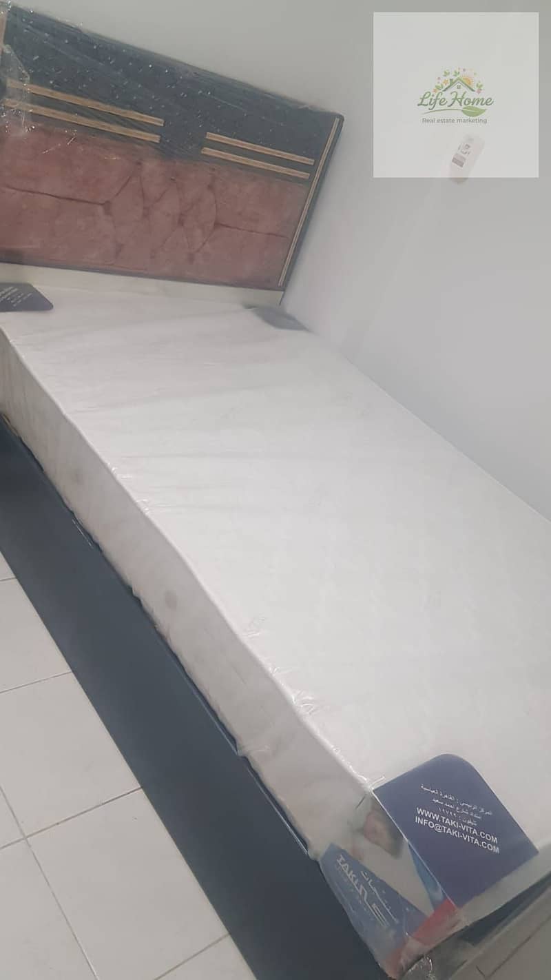 5 1000313479. jpg