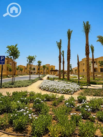 تاون هاوس 3 غرف نوم للبيع في القاهرة الجديدة، القاهرة - WhatsApp Image 2026-06-02 at 12.09. 46 PM. jpeg