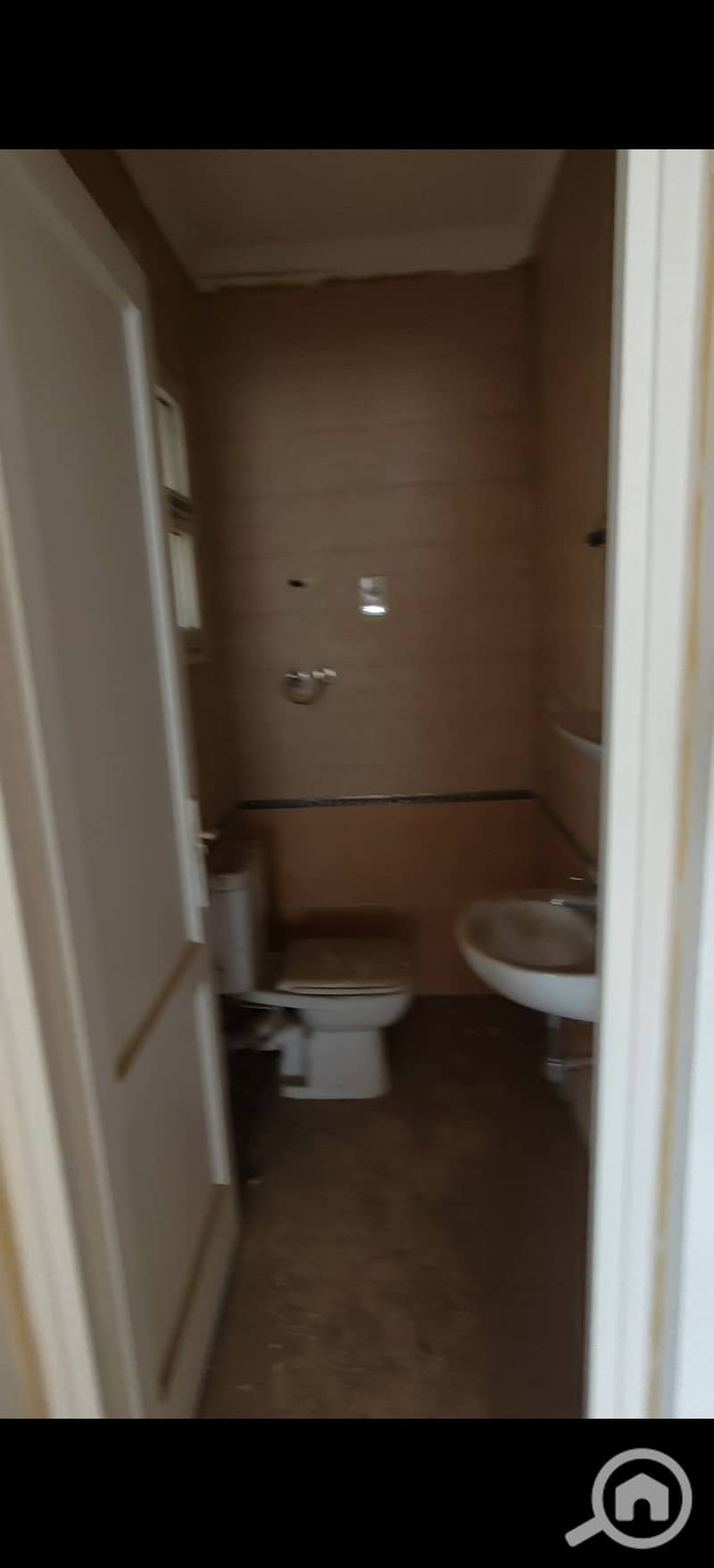 5 620317. jpg
