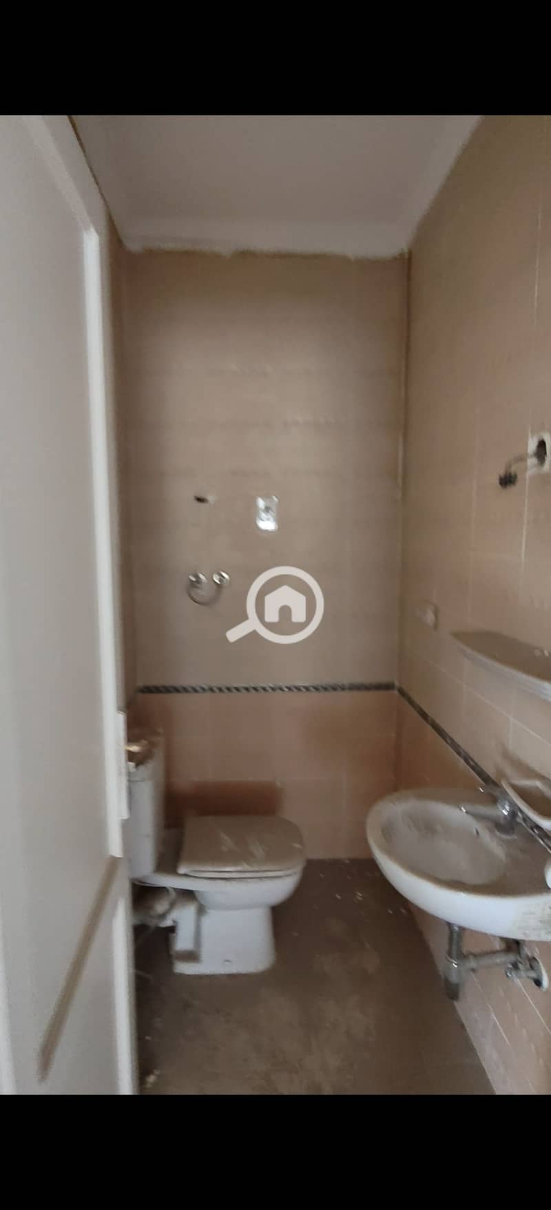 6 620319. jpg
