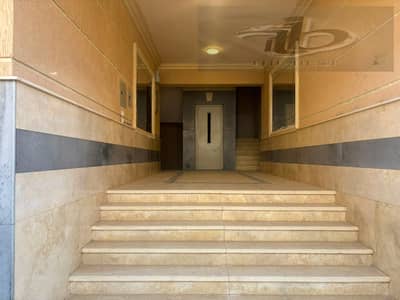 3 Bedroom Flat for Sale in New Cairo, Cairo - 7a03c01c-71ef-4fab-a9d3-3dd55947fcee. jpg 3 Bedroom Flat for Sale in New Cairo, Cairo - 7a03c01c-71ef-4fab-a9d3-3dd55947fcee. jpg