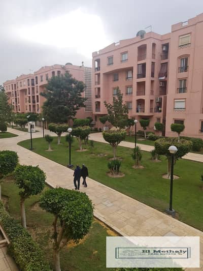 2 Bedroom Apartment for Sale in New Cairo, Cairo - 3333. jpg 2 Bedroom Apartment for Sale in New Cairo, Cairo - 3333. jpg