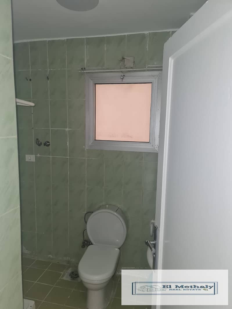 3 946153. jpg