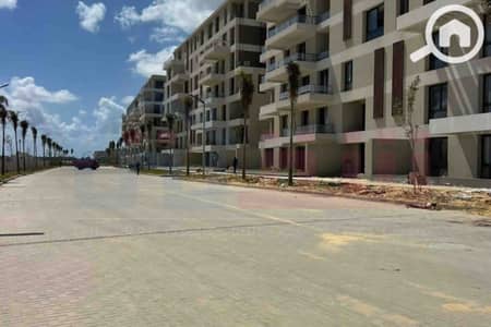 5 Bedroom Villa for Sale in Palm Hills, Alexandria - WhatsApp Image 2026-02-23 at 2.19. 43 PM. jpg 5 Bedroom Villa for Sale in Palm Hills, Alexandria - WhatsApp Image 2026-02-23 at 2.19. 43 PM. jpg