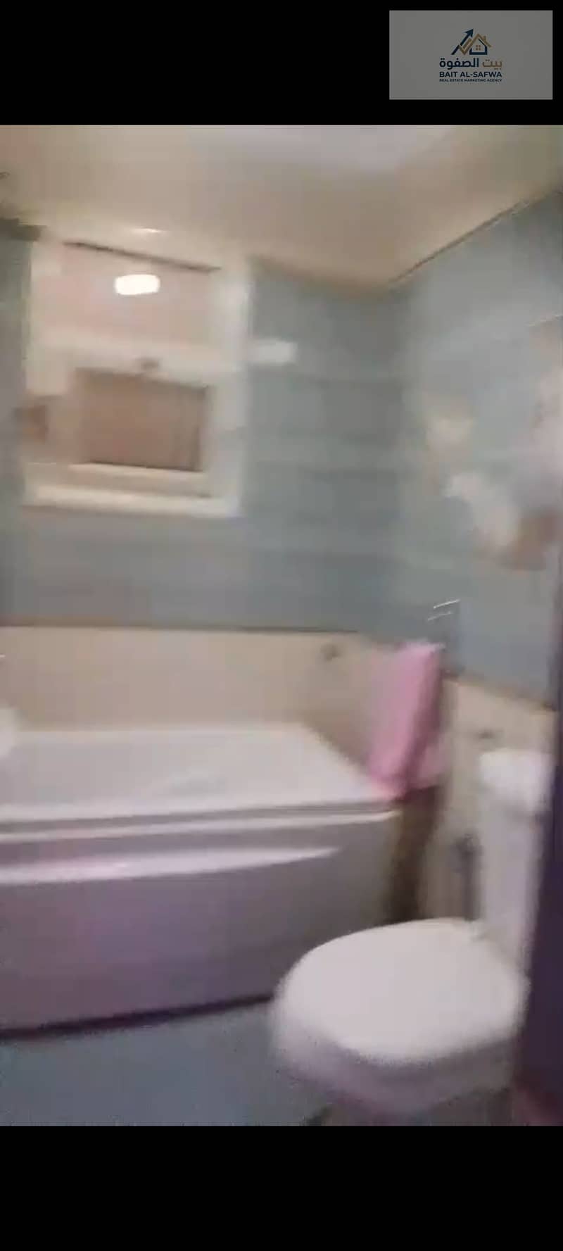 7 199667. jpg