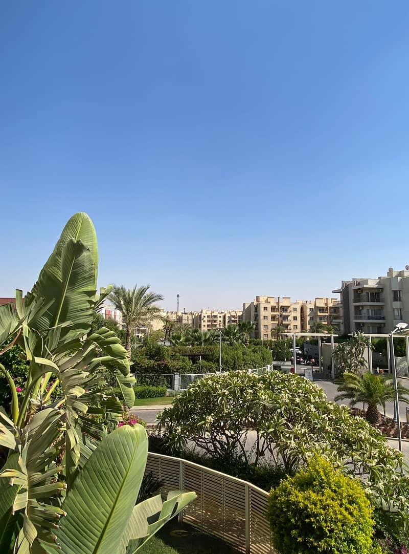 9 البيس (6). jpeg