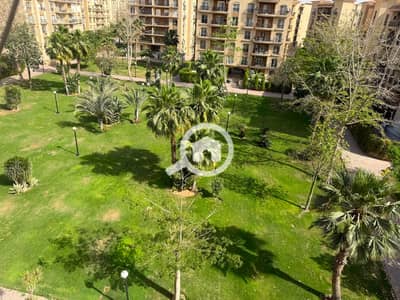 3 Bedroom Flat for Rent in New Cairo, Cairo - IMG-20260711-WA0001. jpg 3 Bedroom Flat for Rent in New Cairo, Cairo - IMG-20260711-WA0001. jpg