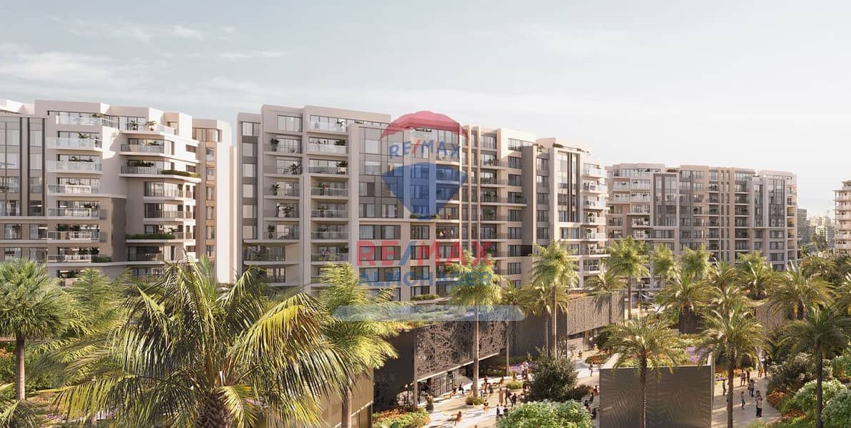 8 6-solana-new-zayed. jpg