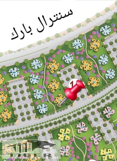 3 Bedroom Flat for Sale in New Capital City, Cairo - WhatsApp Image 2026-10-22 at 3.25. 01 PM. jpeg 3 Bedroom Flat for Sale in New Capital City, Cairo - WhatsApp Image 2026-10-22 at 3.25. 01 PM. jpeg