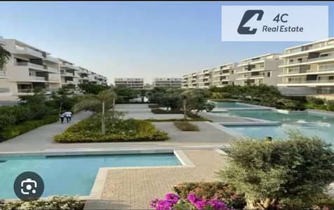 2 Bedroom Apartment for Rent in New Cairo, Cairo - WhatsApp Image 2026-10-18 at 11.23. 33 AM. jpeg 2 Bedroom Apartment for Rent in New Cairo, Cairo - WhatsApp Image 2026-10-18 at 11.23. 33 AM. jpeg