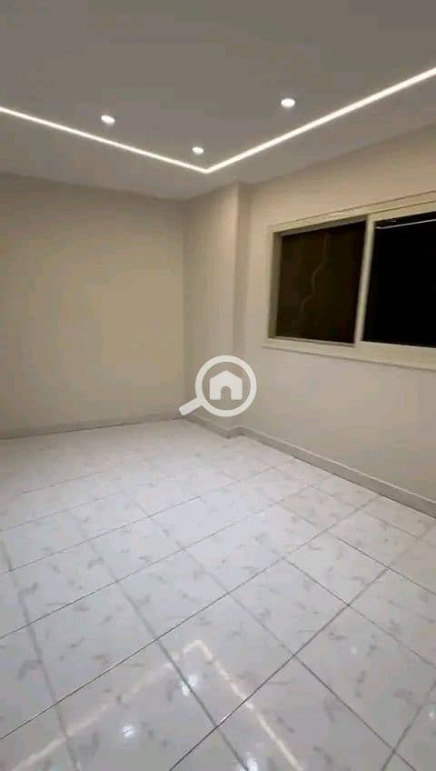 2 81035. jpg