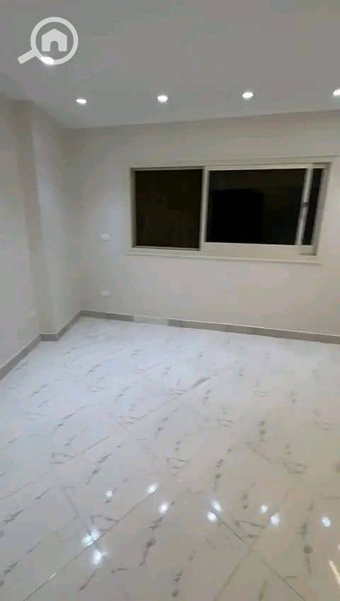 3 81039. jpg
