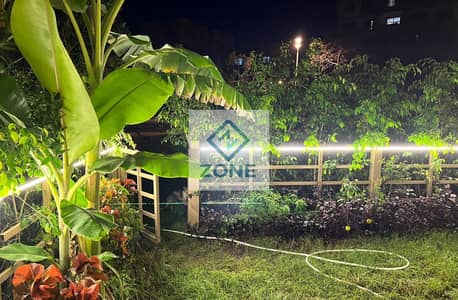 2 Bedroom Flat for Rent in Madinaty, Cairo - 61. jpeg 2 Bedroom Flat for Rent in Madinaty, Cairo - 61. jpeg