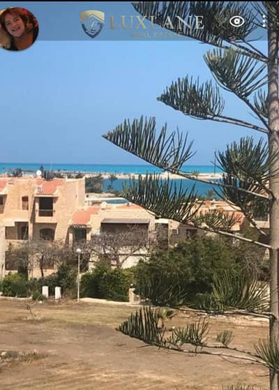 شاليه 2 غرفة نوم للايجار في الساحل الشمالي، مطروح - 1000310352. jpg شاليه 2 غرفة نوم للايجار في الساحل الشمالي، مطروح - 1000310352. jpg