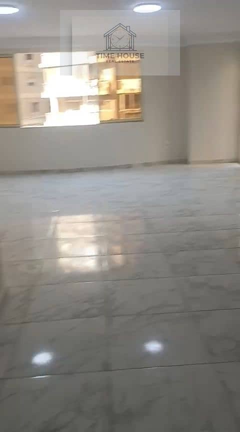 4 66382. jpg