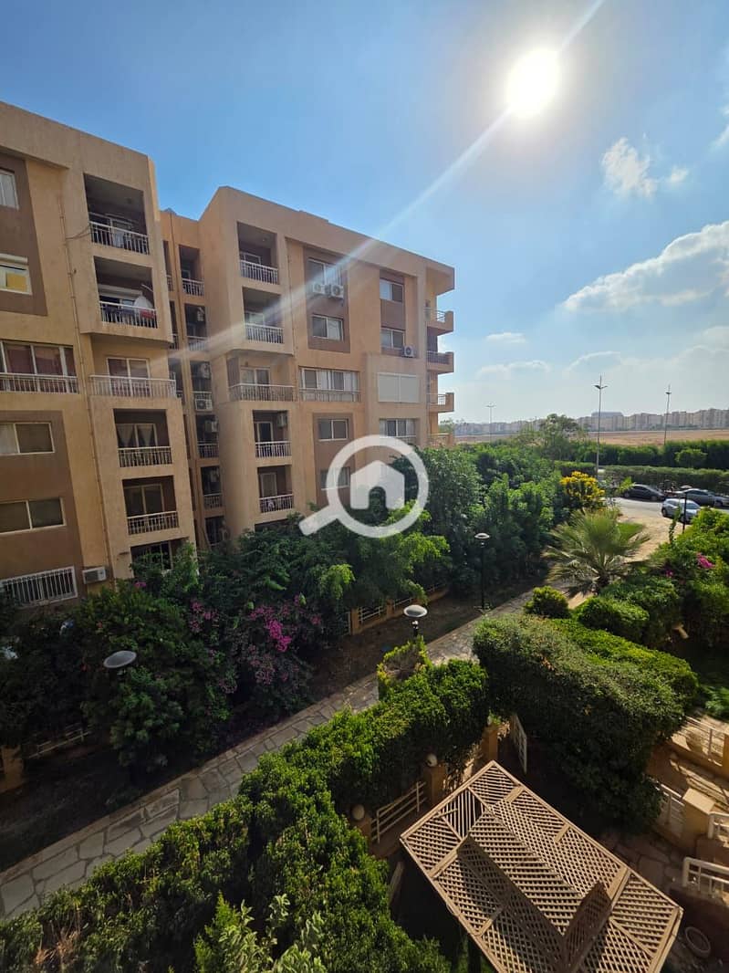 14 31bcd30e-500b-4b43-9d9b-36b553bd69cf. jpg