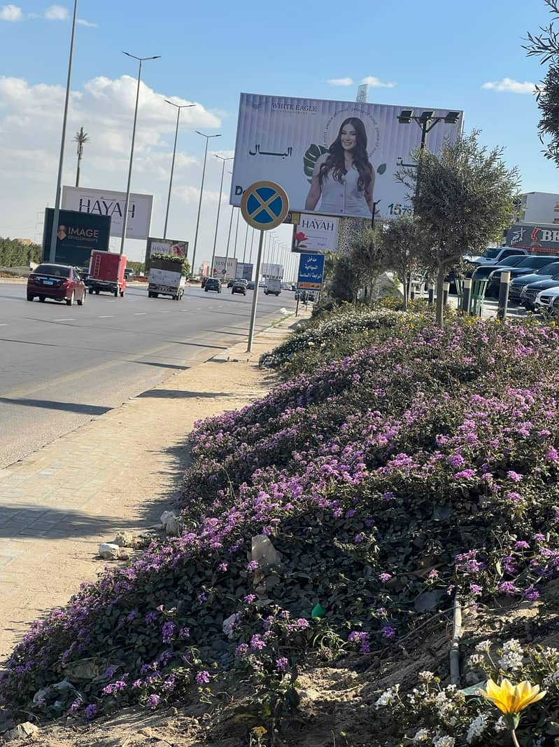 9 رلس (13). jpeg