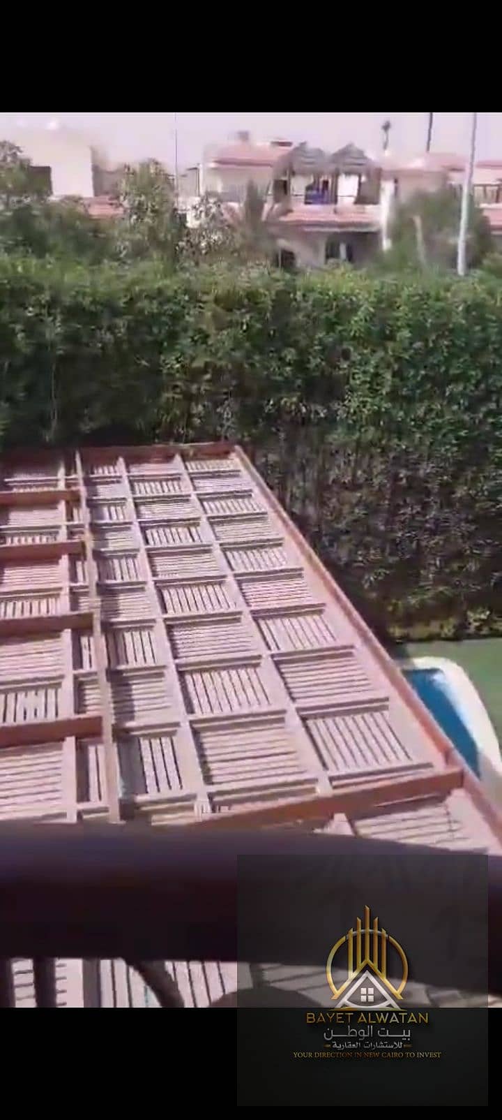 8 1000354823. jpg