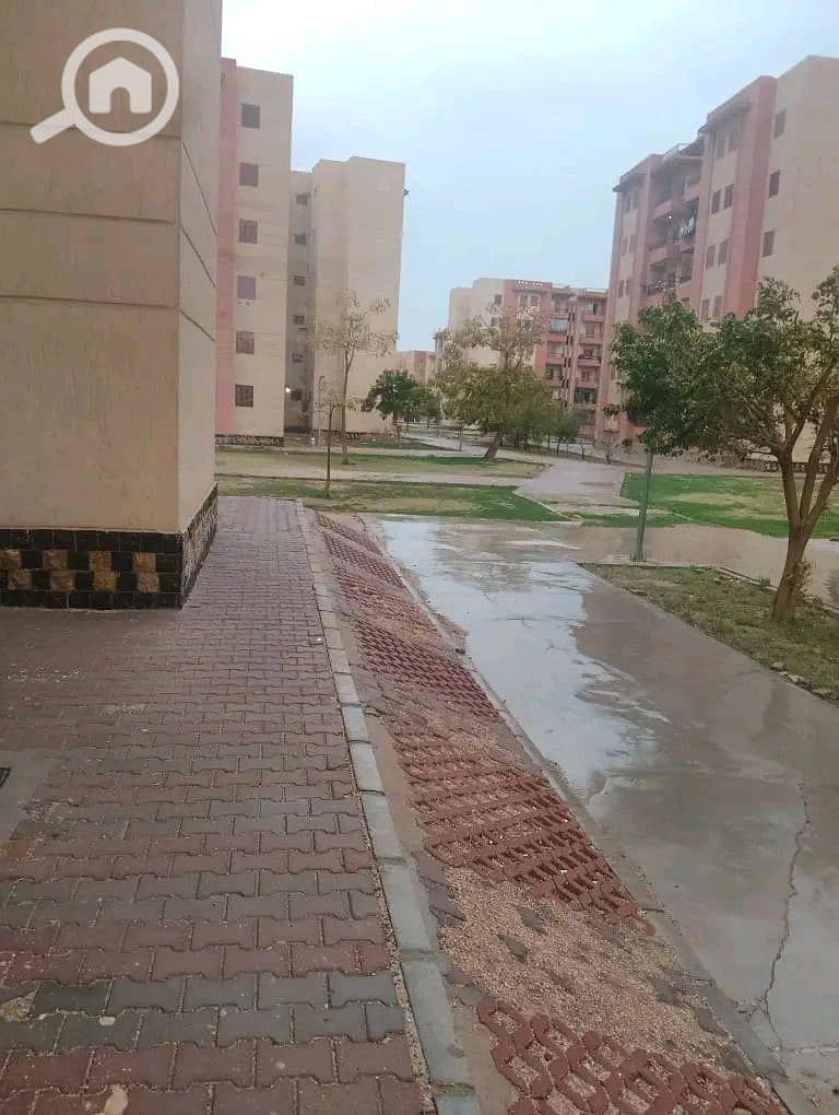 9 1000079769. jpg