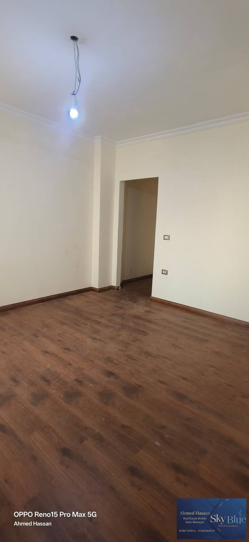 7 448085. jpg