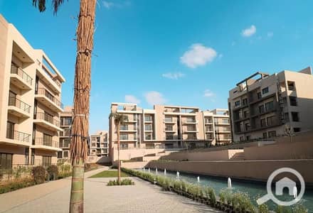 3 Bedroom Flat for Rent in New Cairo, Cairo - 1. jpeg 3 Bedroom Flat for Rent in New Cairo, Cairo - 1. jpeg
