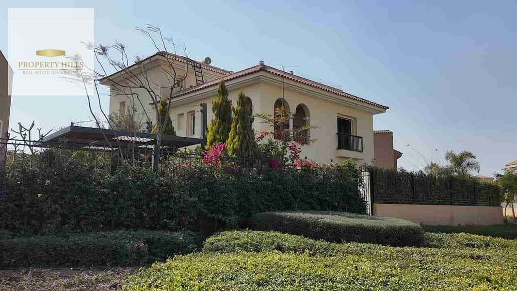 10 1000473471. jpg