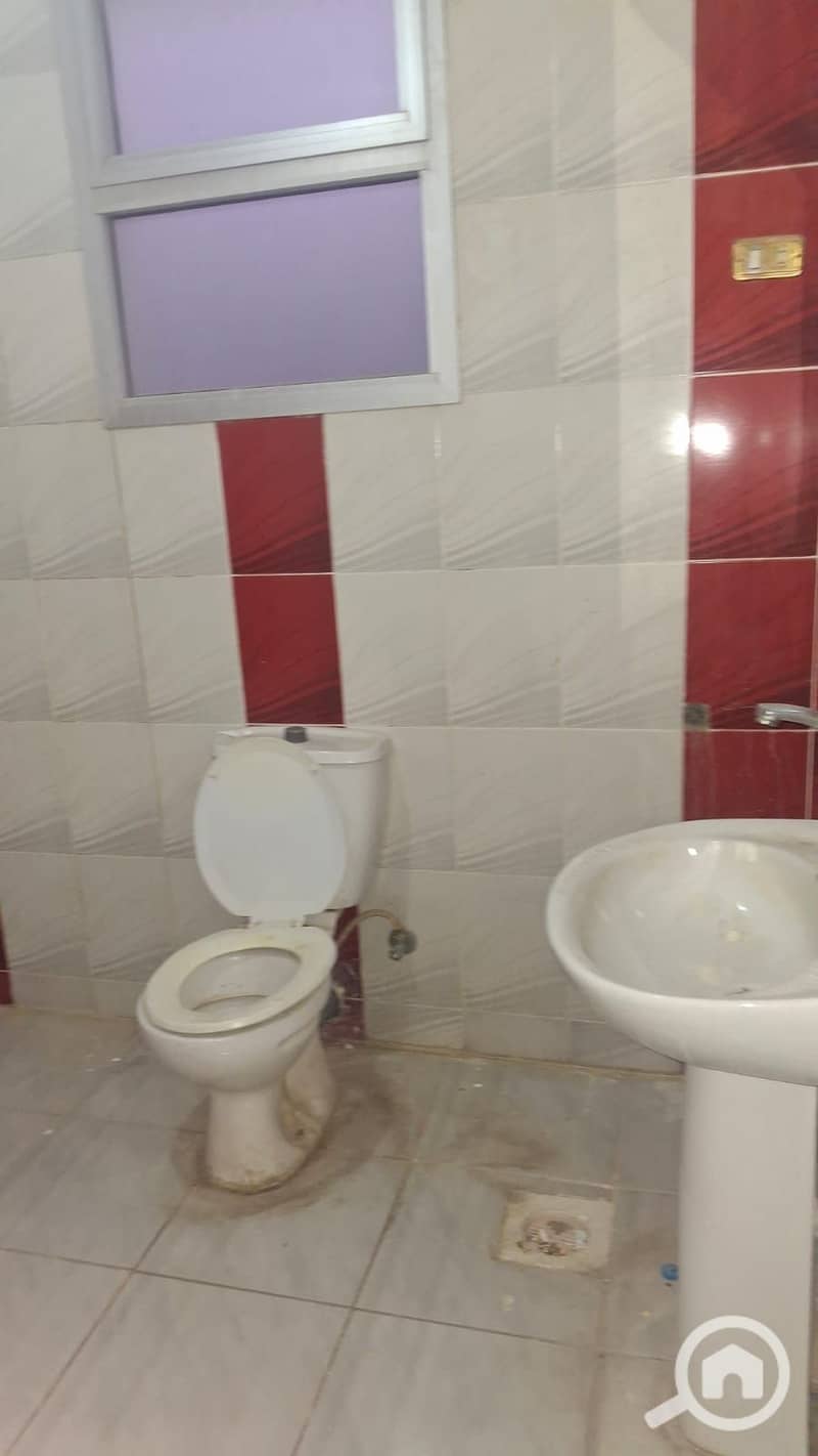 7 116399. jpg