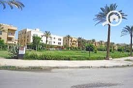 4 IMG_5616. jpeg
