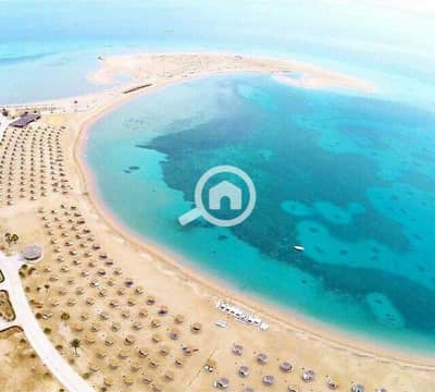 3 Bedroom Townhouse for Sale in Soma Bay, Red Sea - WhatsApp Image 2026-10-22 at 12.36. 24 AM (4). jpeg