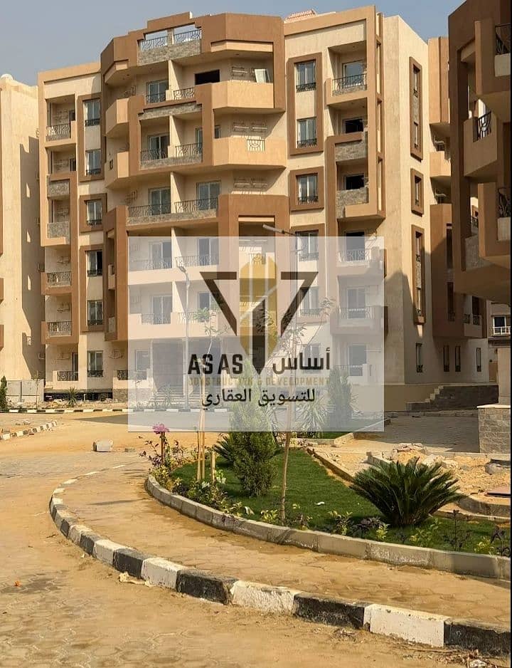 4 81194. jpg