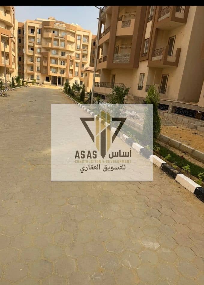 6 81195. jpg