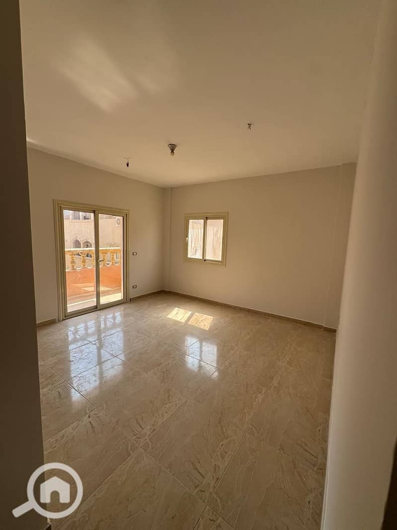 5 168039. jpg