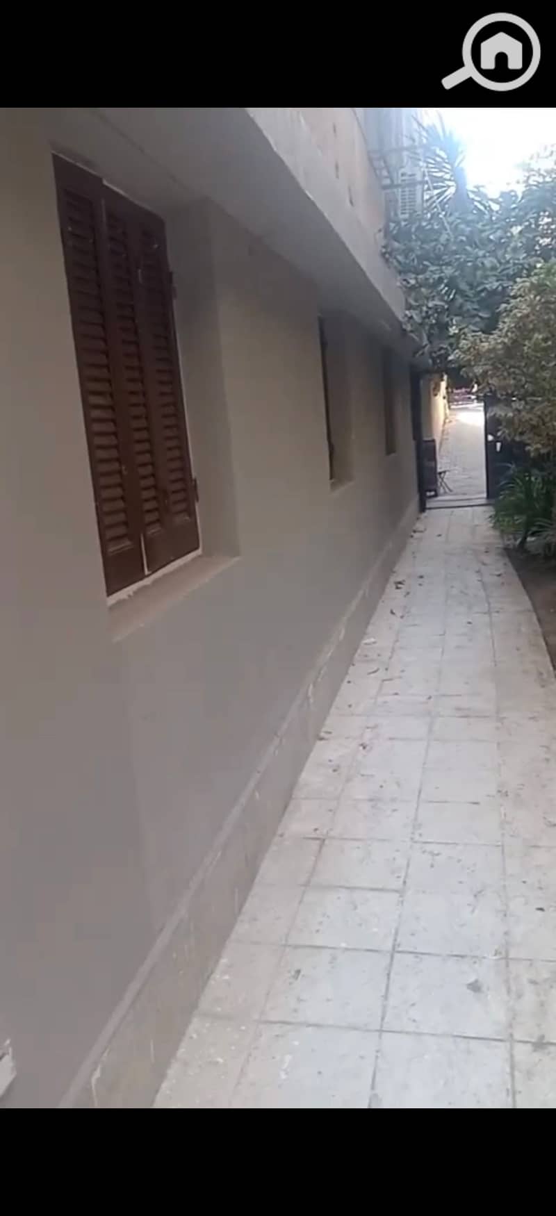 4 183279. jpg